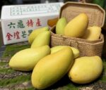 Chinese Mango - Image 3