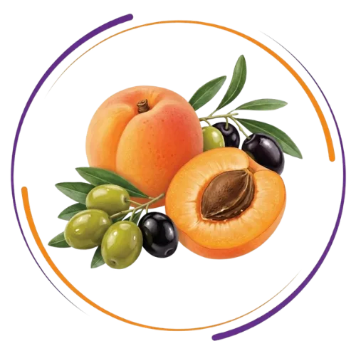 Apricot-Olive-1.png