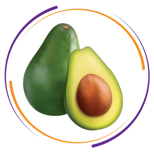 Avocado-gg