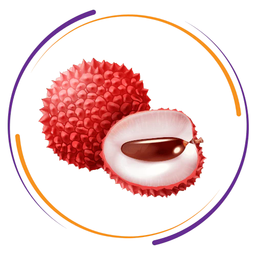 Tropical-Fruits